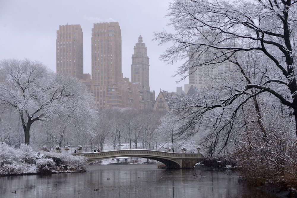 Central Park
