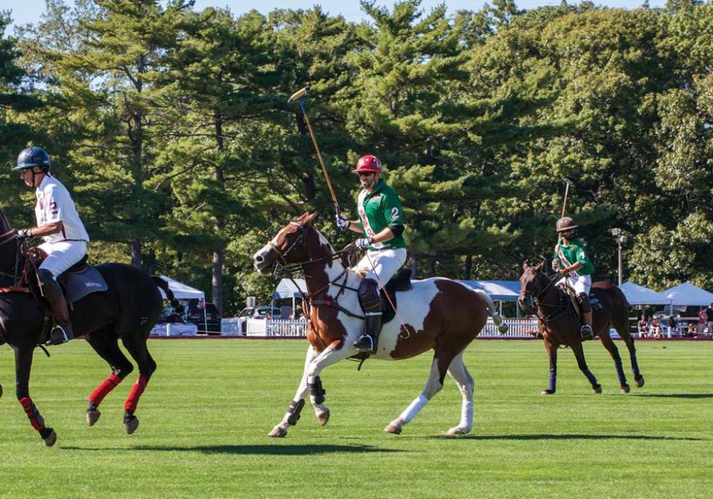Picnic & Polo