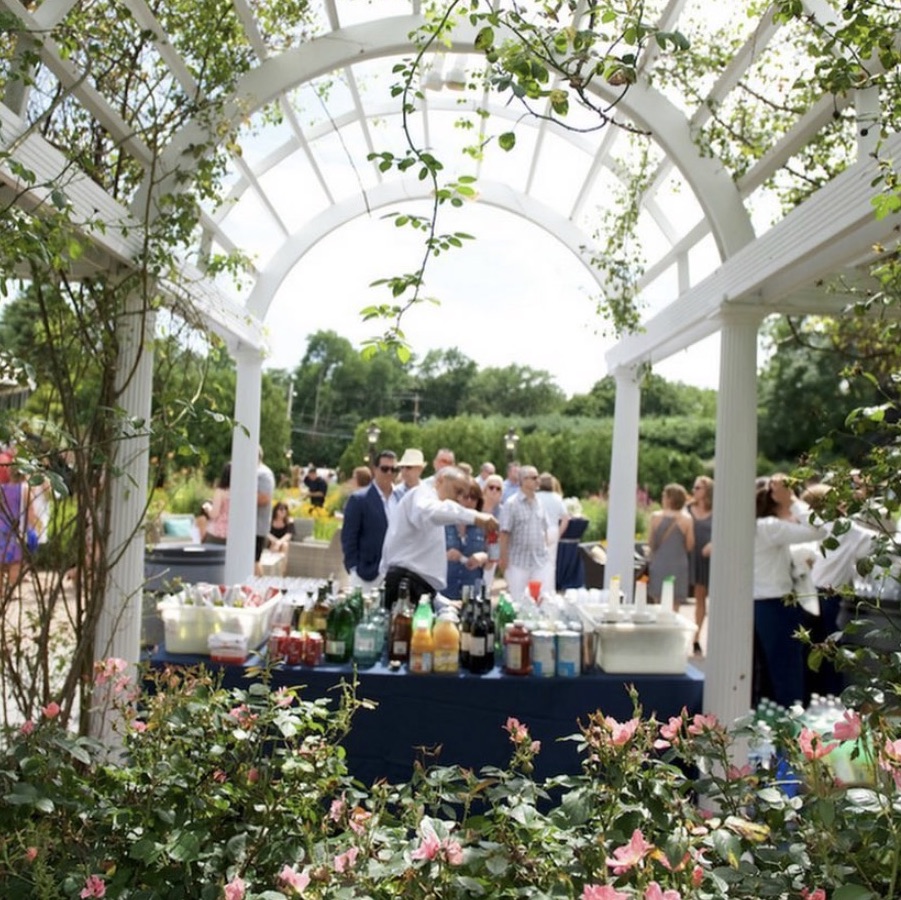 instagram Summer Social