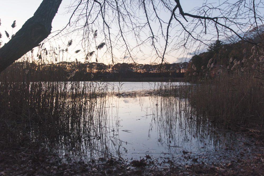 Momoweta-Pond-5I5A3924